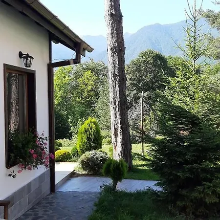 свети георги * Razlog