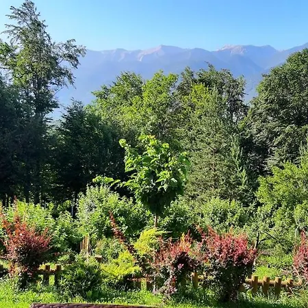 Villa свети георги *