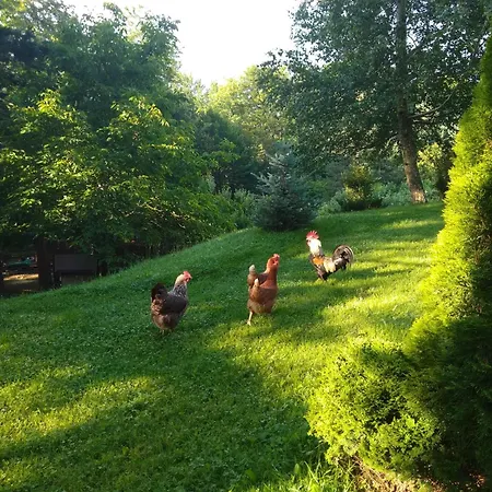 свети георги *